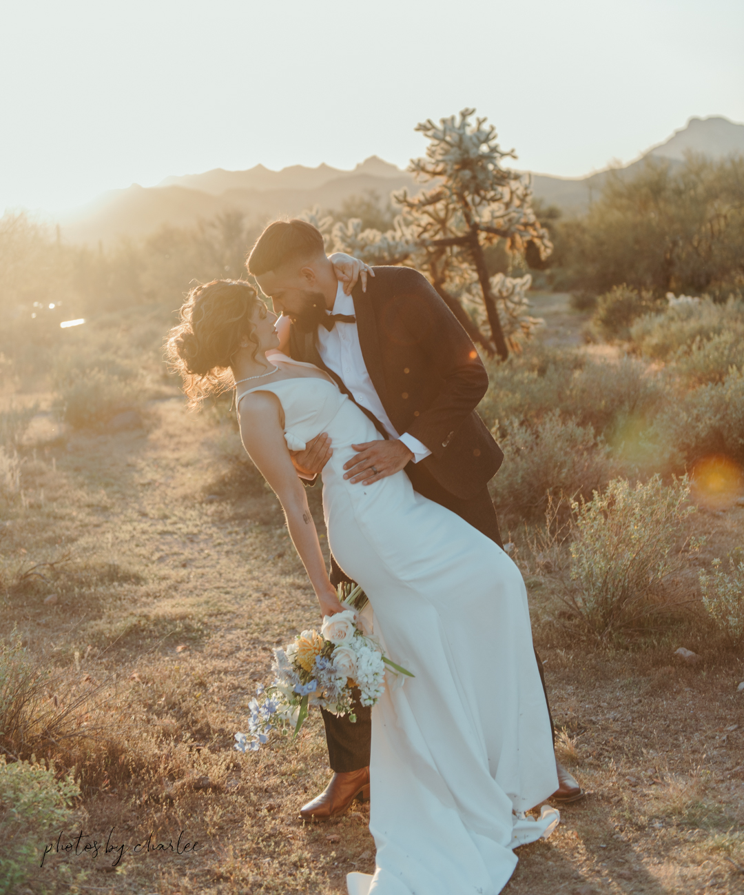 Lost Dutchman Elopement and Arizona desert wedding inspiration